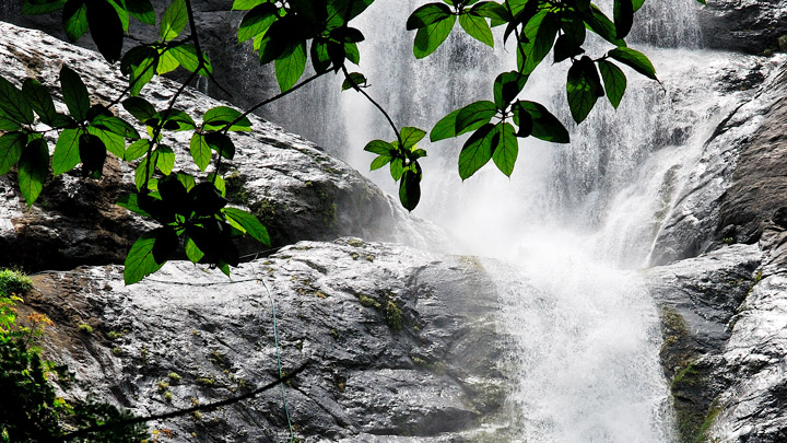 PALARUVI WATERFALLS