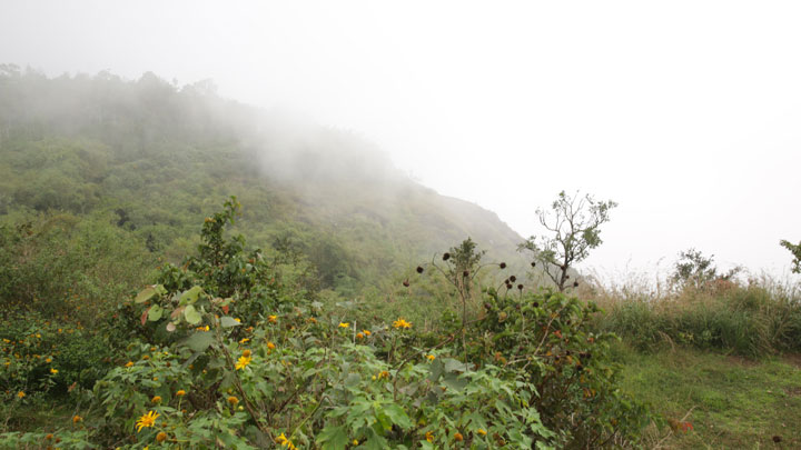 PANDIKUZHI IDUKKI