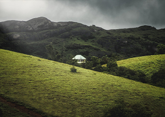 VAGAMON