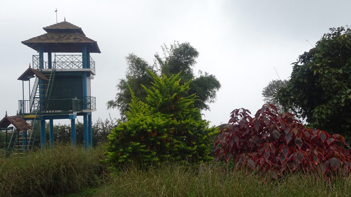 WATCH TOWER CHELLARKOVIL
