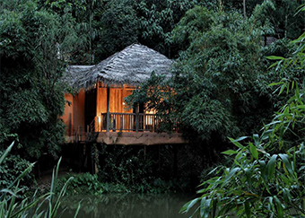 WAYANAD